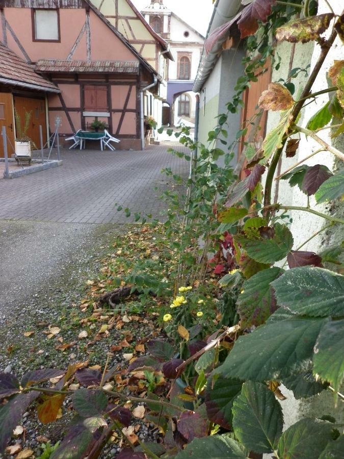 Gites Petermann Marckolsheim Exterior foto