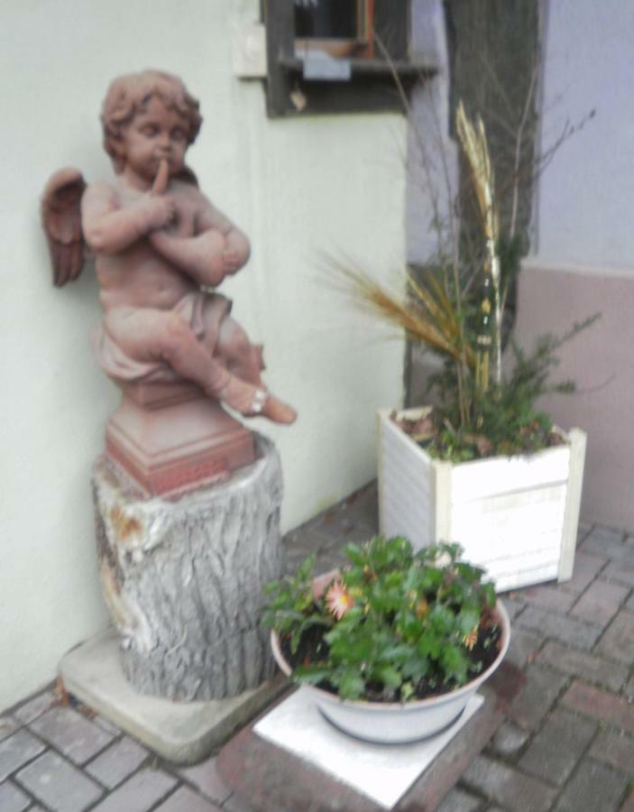 Gites Petermann Marckolsheim Exterior foto